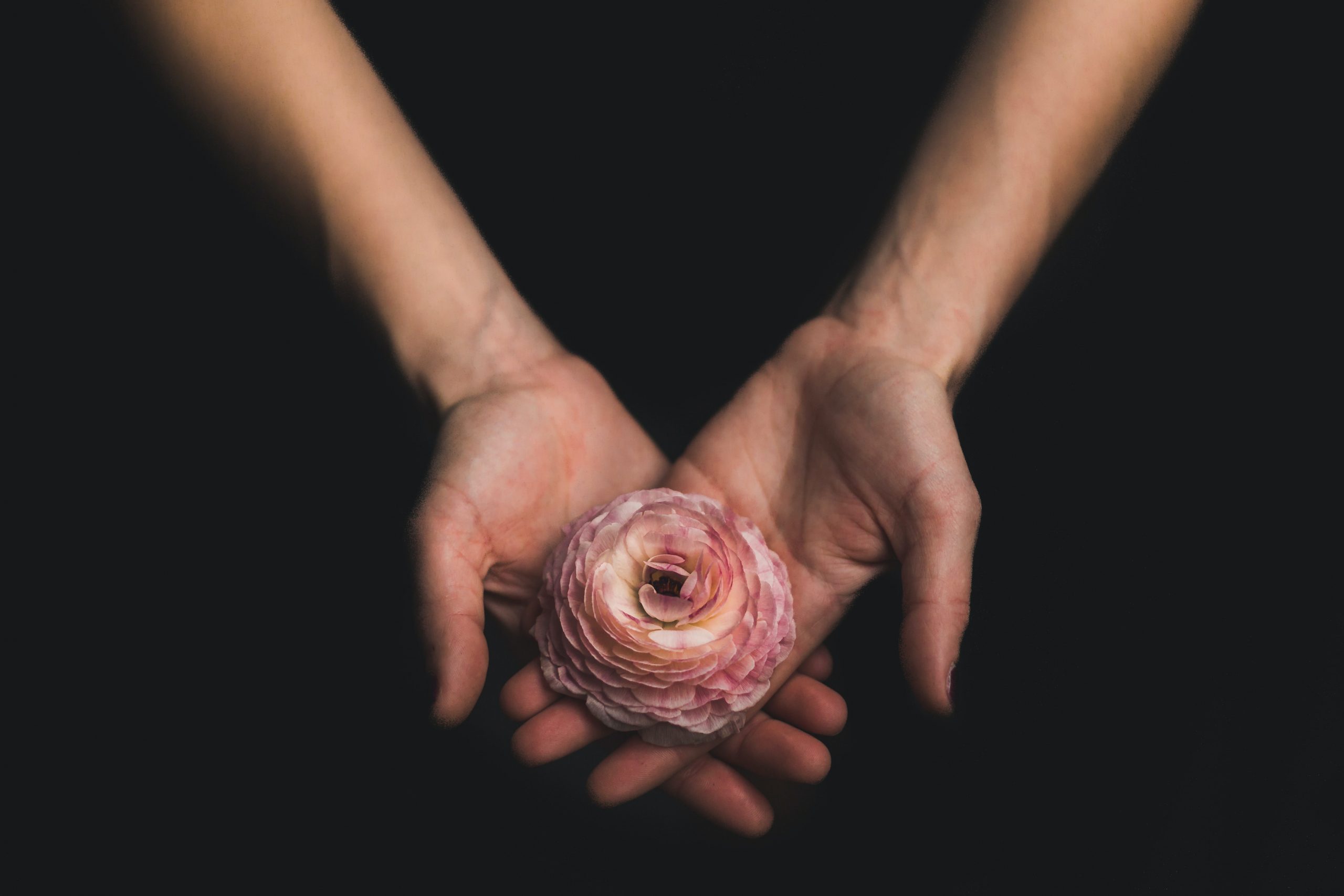 Hände mit Blume